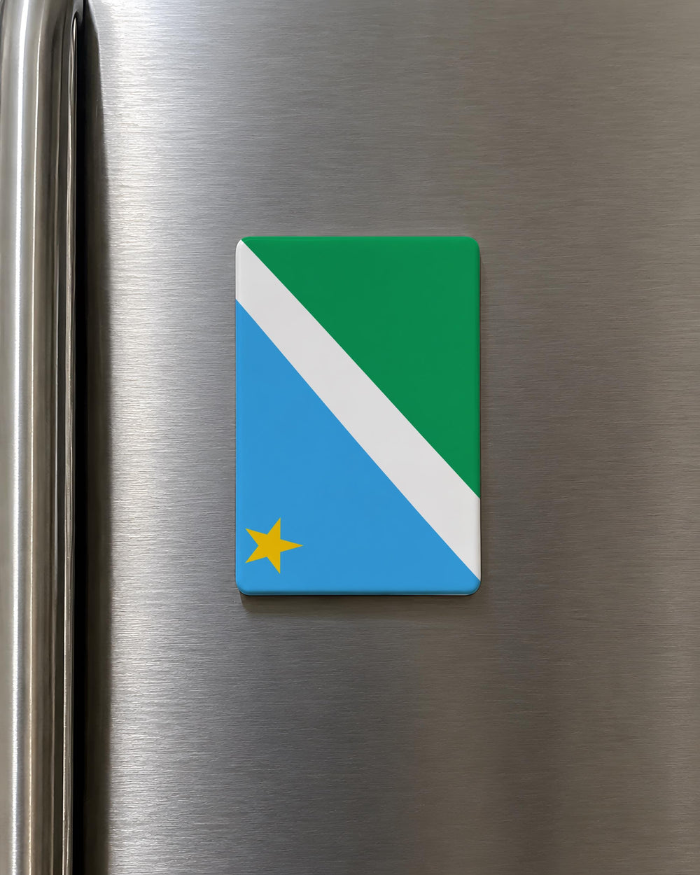 Mato Grosso do Sul State Flag Fridge Magnet, Brazil Souvenir Magnet, Brazilian State Flag Kitchen Magnet, Travel Gift