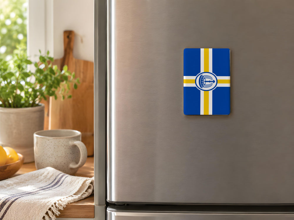 Orlando Flag Fridge Magnet, Orlando Florida Souvenir Magnet, City Flag Refrigerator Magnet, Orlando Gift, Florida Travel Keepsake