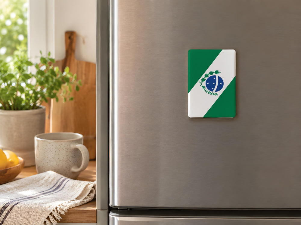 Paran State Flag Fridge Magnet, Brazil State Flag Souvenir Magnet, Paran Flag Refrigerator Magnet, Travel Keepsake Magnet