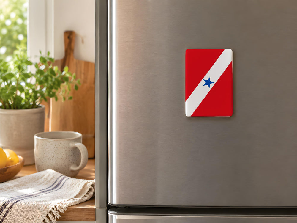 Par State Flag Fridge Magnet, State Flag Souvenir Magnet, Travel Keepsake Refrigerator Magnet, USA State Flag Magnet