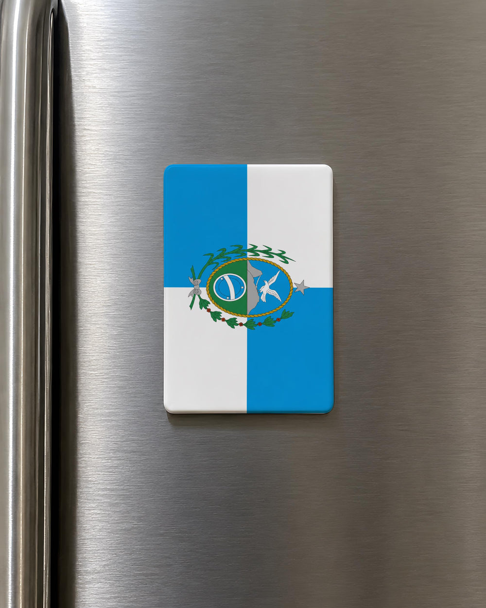 Rio de Janeiro State Flag Fridge Magnet, Brazil State Flag Magnet, Souvenir Refrigerator Magnet from Rio de Janeiro Brazil
