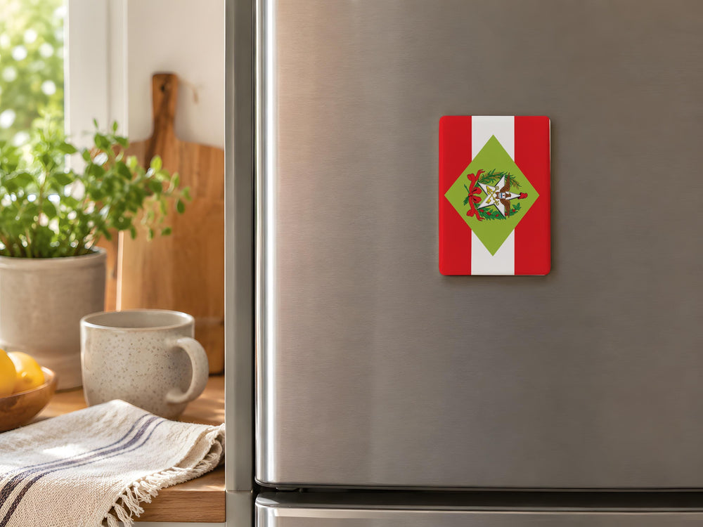 Santa Catarina State Flag Fridge Magnet, Brazil Souvenir Magnet, Santa Catarina Flag Kitchen Magnet, Brazilian State Flag Magnet