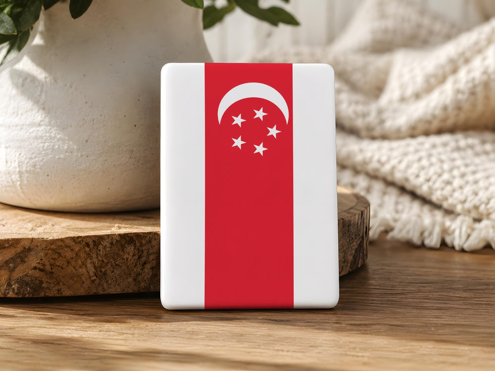 Singapore Flag Fridge Magnet, Singapore Souvenir Magnet, Singapore Travel Gift, National Flag Magnet, Singapore Keepsake Magnet