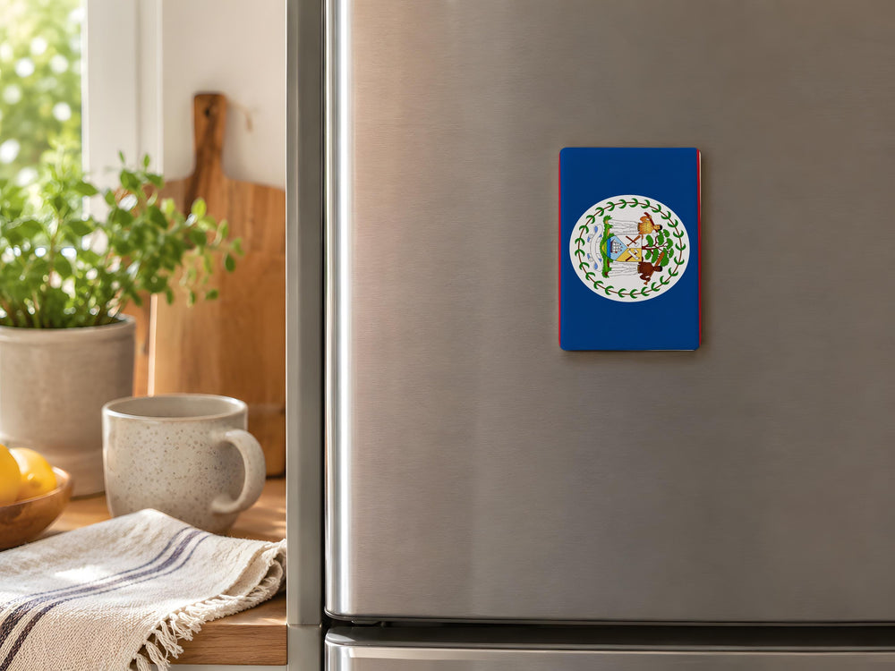 Belize Flag Fridge Magnet, Belize Souvenir Magnet, Belize National Flag Kitchen Magnet, Travel Gift for Belize Lovers