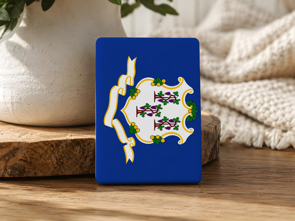 Connecticut State Flag Fridge Magnet, Connecticut Souvenir Magnet, Hartford Connecticut Gift, New England State Flag Magnet
