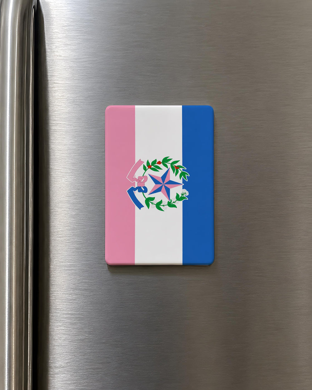 Espírito Santo State Flag Fridge Magnet, Brazil Espírito Santo Flag Magnet, Brazilian State Souvenir Magnet