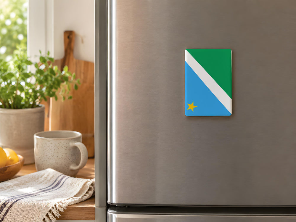 Mato Grosso do Sul State Flag Fridge Magnet, Brazil Souvenir Magnet, Brazilian State Flag Kitchen Magnet, Travel Gift