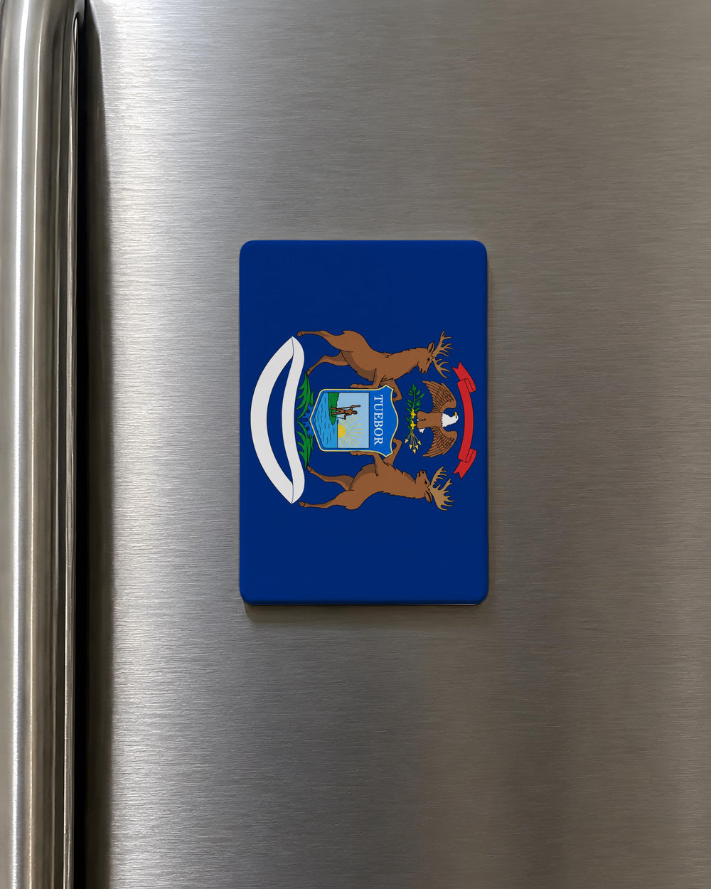 Michigan State Flag Fridge Magnet, Michigan Flag Magnet, Great Lakes State Souvenir Magnet, Michigan Gift, USA State Flag Magnet