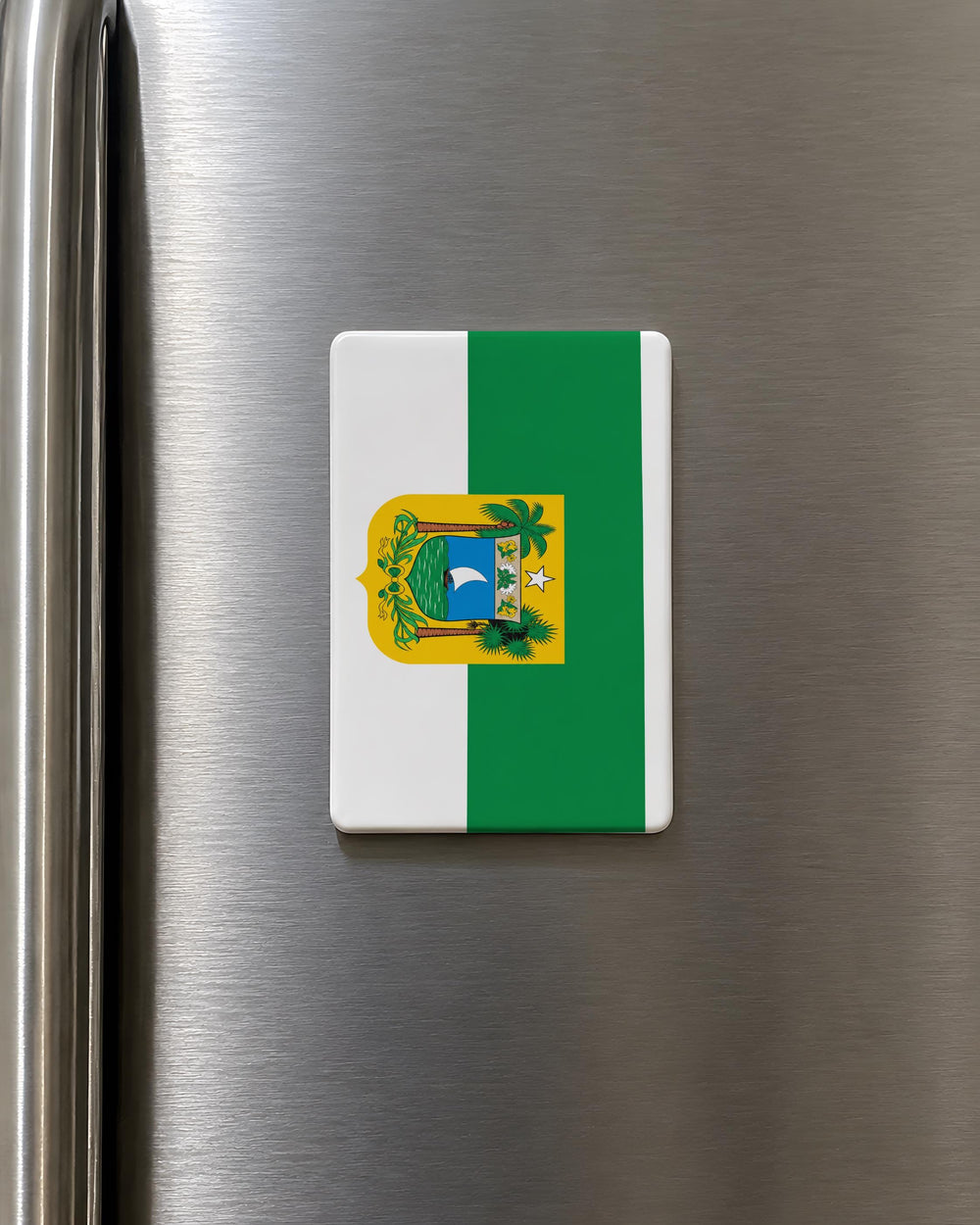 Rio Grande do Norte State Flag Fridge Magnet, Brazil State Flag Magnet, Rio Grande do Norte Souvenir Magnet, Natal Brazil Magnet