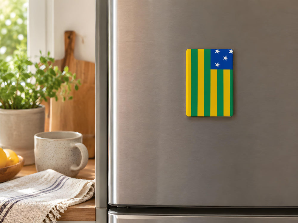 Sergipe State Flag Fridge Magnet Brazil Flag Magnet Sergipe Souvenir Magnet Brazilian State Flag Kitchen Magnet