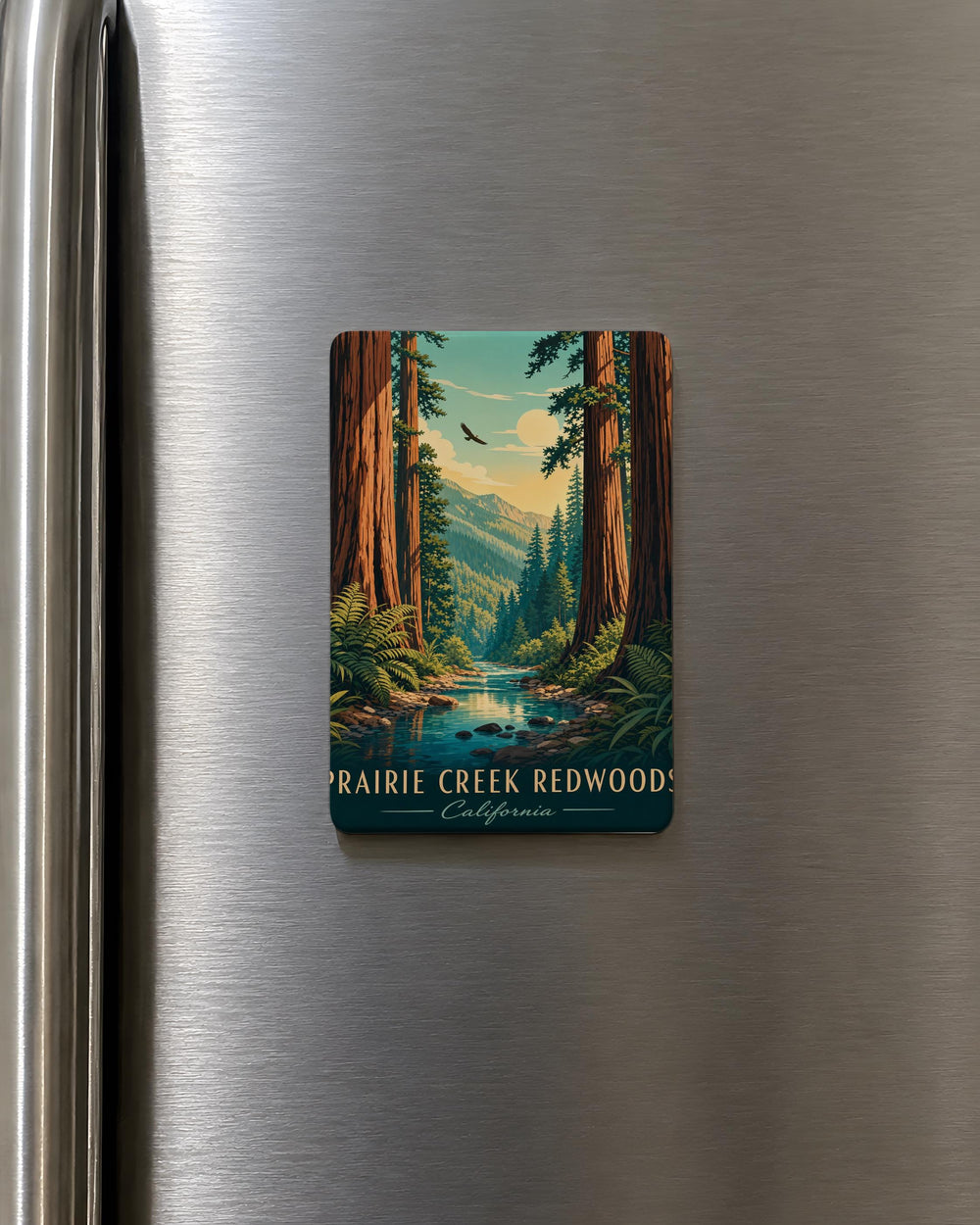 Prairie Creek Redwoods Fridge Magnet, California Redwood Forest Souvenir, National & State Parks Travel Keepsake Magnet